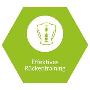 Icon effektives Rückentraining